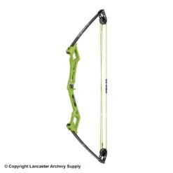 Bear Apprentice Compound Bow