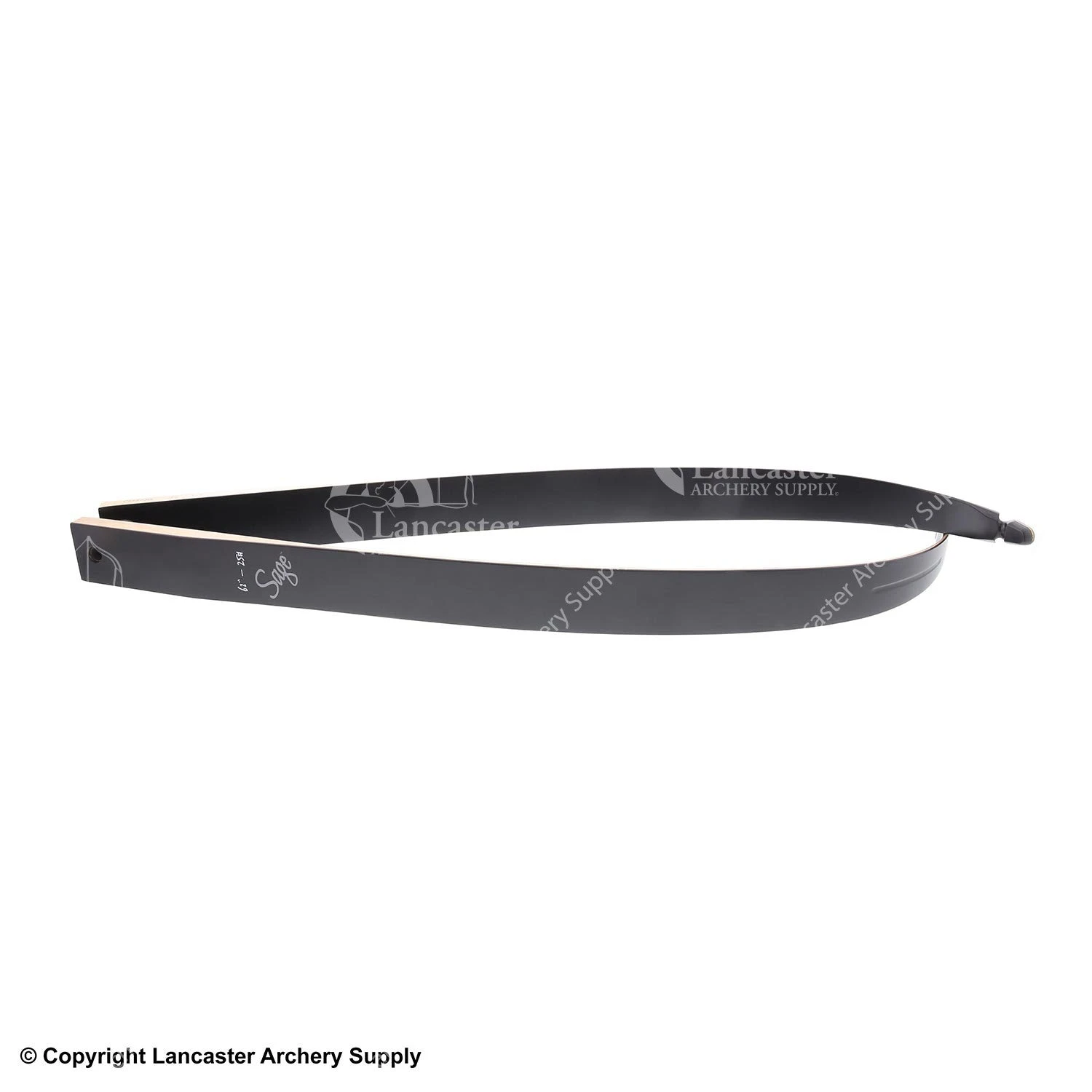 Galaxy Sage Recurve Limbs 1 Galaxy Sage Recurve Limbs