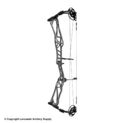 2020 Elite REZULT Target Compound Bow -Victory Sales Store 6530124 gray