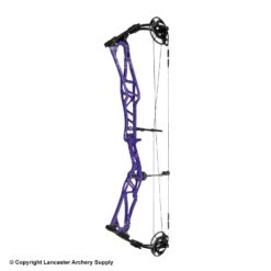 2020 Elite REZULT Target Compound Bow -Victory Sales Store 6530124 purple